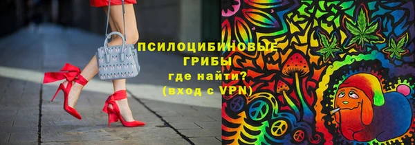 твердый Алексин
