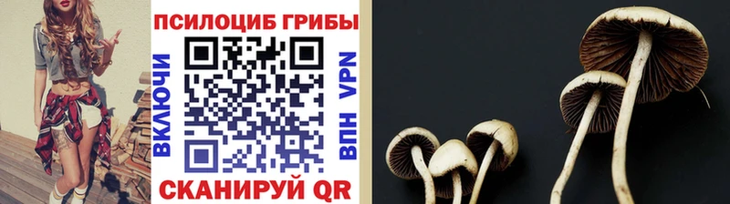 Псилоцибиновые грибы MAGIC MUSHROOMS  Новоуральск 